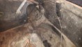 /album/pictures-from-the-renovation/a20160419-173133-jpg/