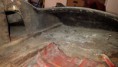 /album/pictures-from-the-renovation/a20160419-173026-jpg/