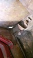 /album/pictures-from-the-renovation/a20160419-172935-jpg/